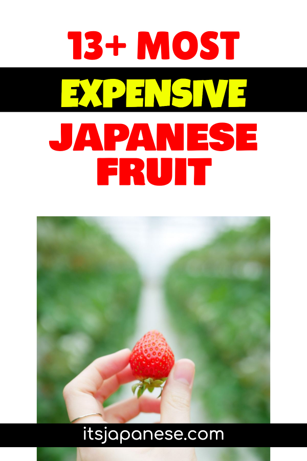 expensive japanese fruit