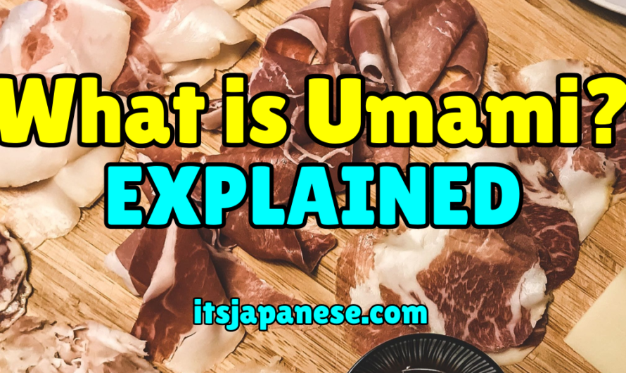 What is Umami? Umamai Explained Guide.